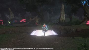Immagine 15 del gioco Dragon Star Varnir per PlayStation 4